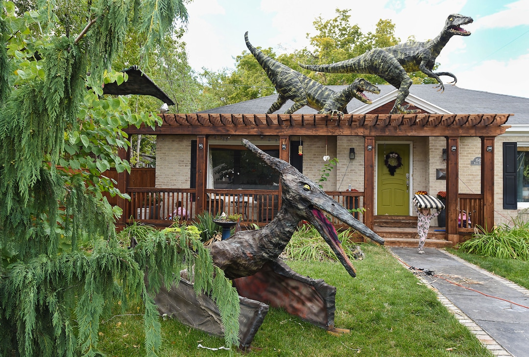 (Francisco Kjolseth  |  The Salt Lake Tribune)  Ammon Smith has outdone himself once again by going big on his front lawn at 1542 S. 900 East in Salt Lake City for Halloween after constructing a "maturing adult"-size T. rex along with a pair of velociraptors and pterodactyls. The part-time stay-at-home dad, who made a giant King Kong last year, started construction back in August as he assembled recycled wood, chicken wire, foam, aluminum foil and spray paint for the 12-by-32-foot Jurassic centerpiece and companion pieces.