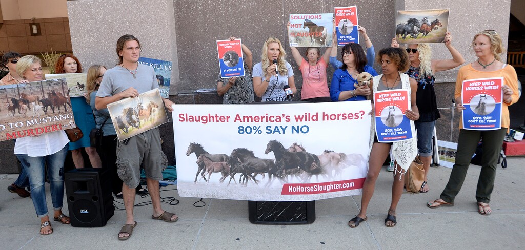(Al Hartmann  |  The Salt Lake Tribune) Advocates for wild horses from The American Wild Horse Campaign and the Cloud Foundation stage a protest and press conference in front of the downtown Marriott Hotel where Utah officials are hosting a wild horse conference Wednesday Aug. 23.  The advocates were not allowed into the conference and believe the forum is for promoting the slaughter of wild horses and burros that roam the West's public lands.