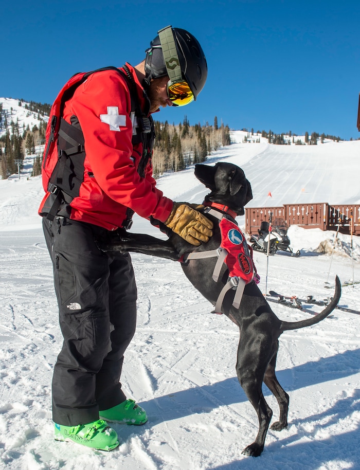 (Rick Egan  |  The Salt Lake Tribune)       Handler, Trevor John, with his Avalanche dog Lumen, at Solitude Ski Resort, Thursday, March 5, 2020.