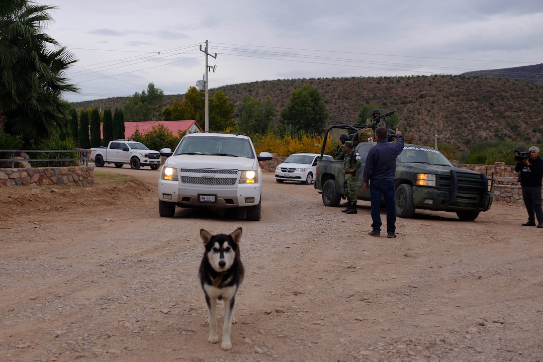 (Trent Nelson  |  The Salt Lake Tribune)A dog looks on as a convoy of vehicles prepares to leave La Mora, Sonora on Friday Nov. 8, 2019.