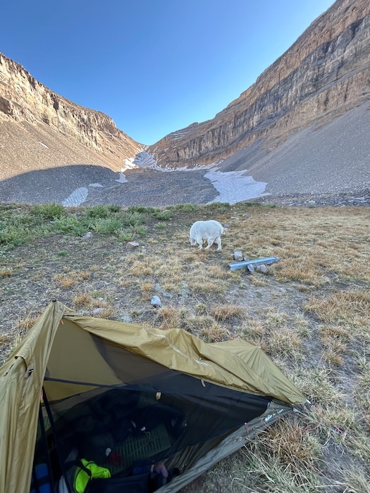 (Courtesy Lief Anderson, the University of Utah) The Timpanogos Rock Glacier contains ancient ice up to 150 feet thick, shielded by a layer of rock.