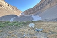 (Courtesy Lief Anderson, the University of Utah) The Timpanogos Rock Glacier contains ancient ice up to 150 feet thick, shielded by a layer of rock.