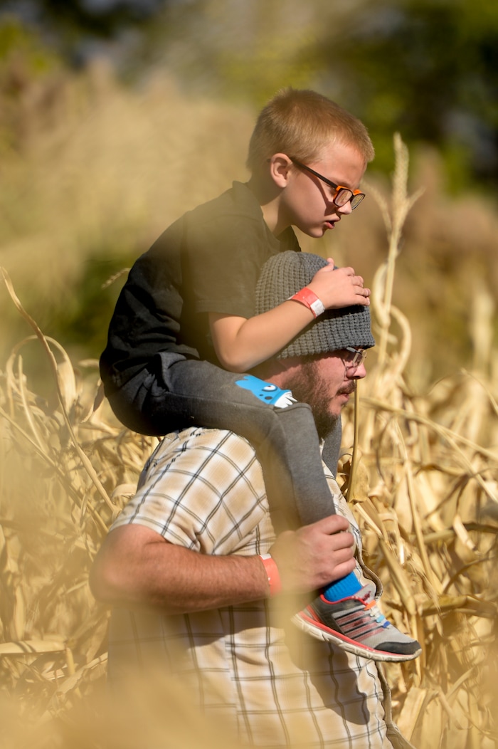 Leah Hogsten | The Salt Lake Tribune Visitors make their way through the 14 acres corn maze that has nearly 7 miles of trails during the 2018 Fall Festival at Cross E Ranch in Salt Lake City, Thursday Oct. 18, 2018.