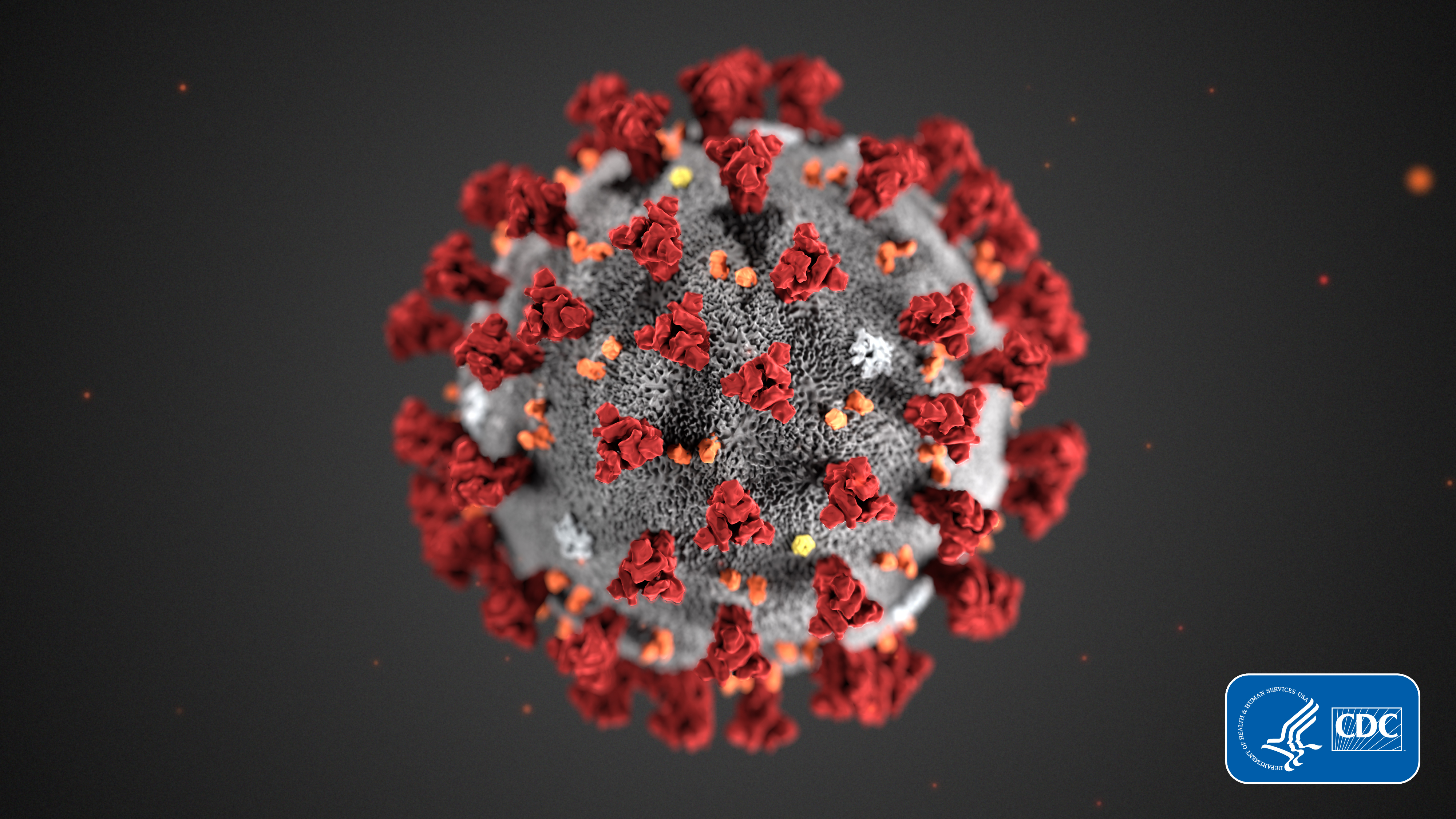 (CDC via AP | File photo illustration) This illustration provided by the Centers for Disease Control and Prevention (CDC) in January 2020 shows the 2019 Novel Coronavirus (2019-nCoV). Health officials hope to avoid stigma and error in naming the virus causing an international outbreak of respiratory illnesses. But some researchers say the current moniker, 2019 nCoV, which stands for 2019 novel coronavirus, probably won't stick in the public's mind.