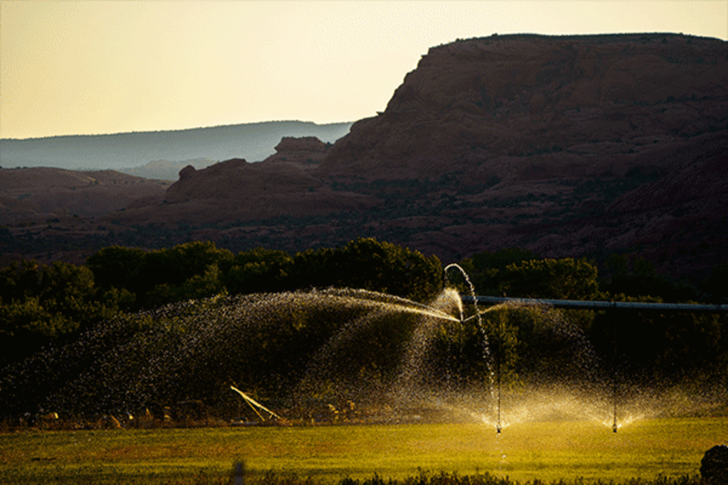 (Trent Nelson | The Salt Lake Tribune) Irrigation at sunrise in Moab on June 15, 2021.