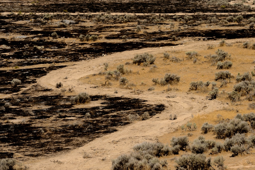 (Trent Nelson  |  The Salt Lake Tribune) A firebreak cut by a bulldozer at the Adelbert Doyle Smith Family Archaeological Preserve on Utah Lake’s west shore on Monday, July 6, 2020.