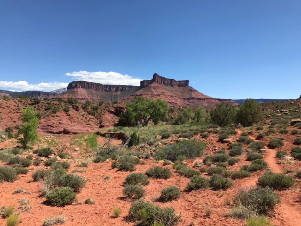Nate Carlisle  |  The Salt Lake TribuneThe trail to Mary Jane Canyon winds through the desert floor as the La Sal Mountain sit in the background on May 28, 2017. 