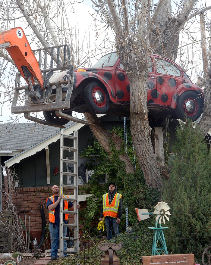 (Al Hartmann | The Salt Lake Tribune)
Clearfield public works personnel use a crane to remove Janis Zettel's gutted VW Beetle from a tree in her front yard Tuesday Feb. 13. She put it up a few months ago as an art installation. Now it has to come down. Workers had to figure out how.
