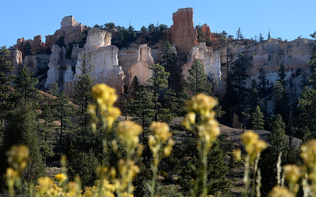 (Scott Sommerdorf   |  The Salt Lake Tribune)  The area near Shakespeare Point inside Bryce Canyon National Park, Monday, October 16, 2017. 