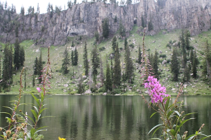 Jessica Miller | The Salt Lake Tribune
The White Pine Lake Trail near Tony Grove Lake in Logan, July 17. 2015.