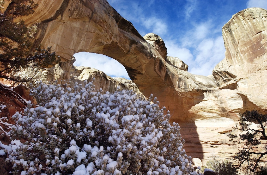 Danny Chan La  |  Tribune File PhotoHickman Arch at Capitol Reef with snow cover. Attendance to the park is lower in the winter time but there are still many things to be seen.Utah Dec-2003