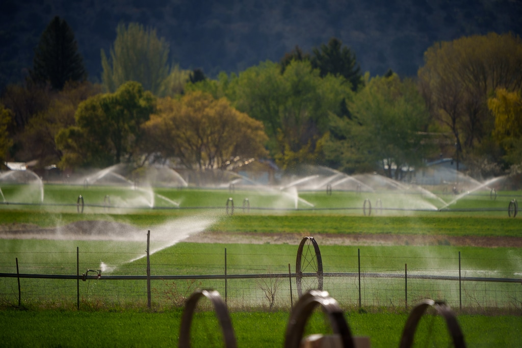(Trent Nelson  |  The Salt Lake Tribune) A field is watered in Paragonah on Thursday, May 4, 2023. The plan Utah has isn’t enough to win over some of the state’s biggest water users, writes The Tribune Editorial Board.