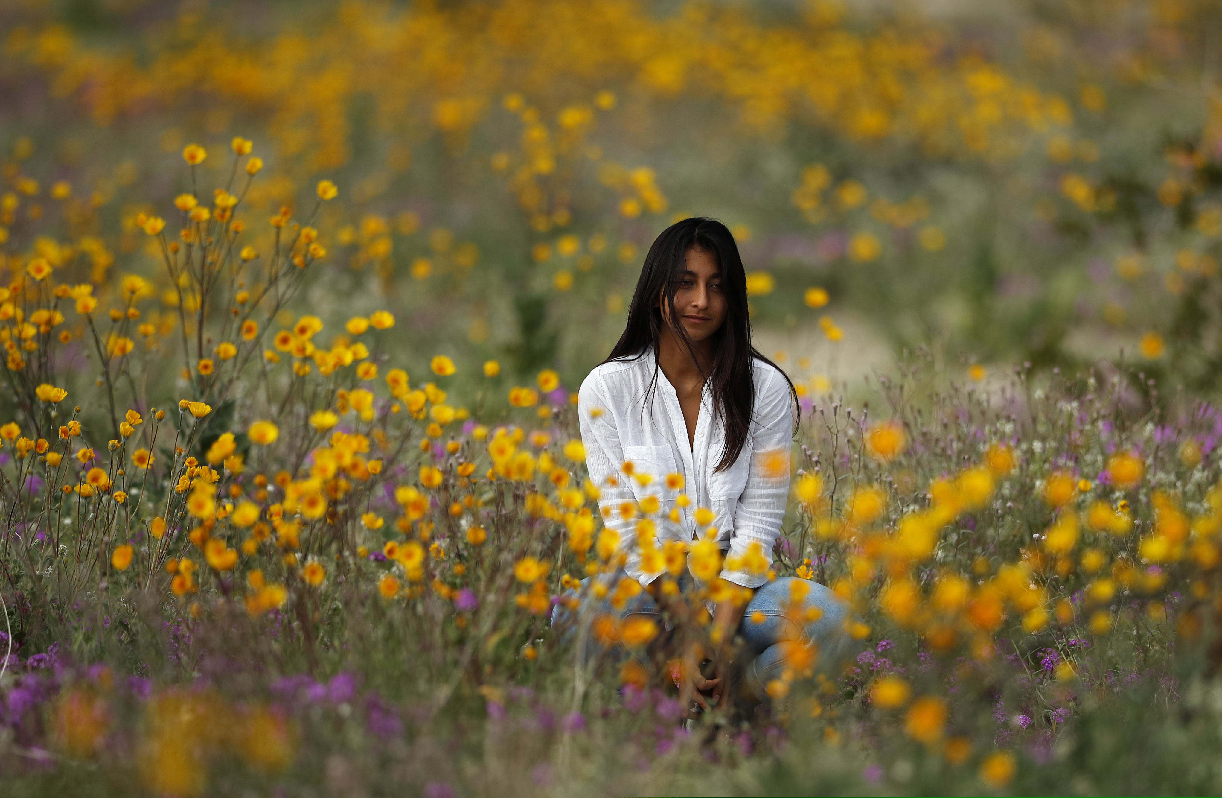 In this Wednesday, March 6, 2019, photo, a woman sits in a field of wildflowers in bloom near Borrego Springs, Calif. Two years after steady rains sparked seeds dormant for decades under the desert floor to burst open and produce a spectacular display dubbed the "super bloom," another winter soaking this year is shaping up to be possibly even better. (AP Photo/Gregory Bull)