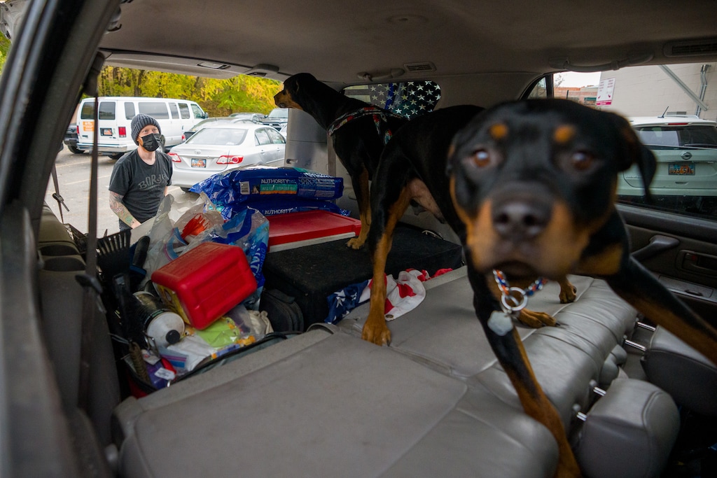 (Trent Nelson  |  The Salt Lake Tribune) Chaunce Butterfield loads food into a truck at the Pet Food Pantry at Best Friends Animal Society in Salt Lake City on Saturday, Nov. 6, 2021. If you are struggling to feed your pet, you can obtain pet food through organizations like the Best Friends Animal Society