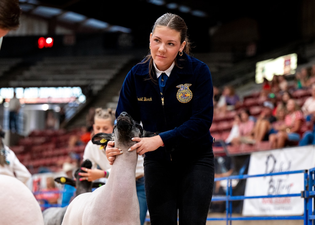 (Courtesy photo) Author Kendall Burch with her show Suffolk-Hampshire lamb at the Weber County fair.