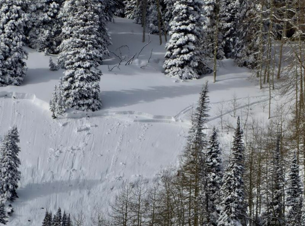 (Courtesy Utah Avalanche Center) An overview of the Friday, Jan. 18, 2019, avalanche in north of Electric Lake in Emery County. A backcountry skier, Michael Besendorfer, was killed in the avalanche.
