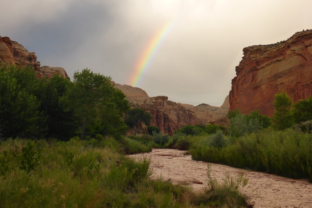 (Ann Huston  |  National Park Service) A rainbow forms over the Fremont River in Canyonlands National Park in 2015. 