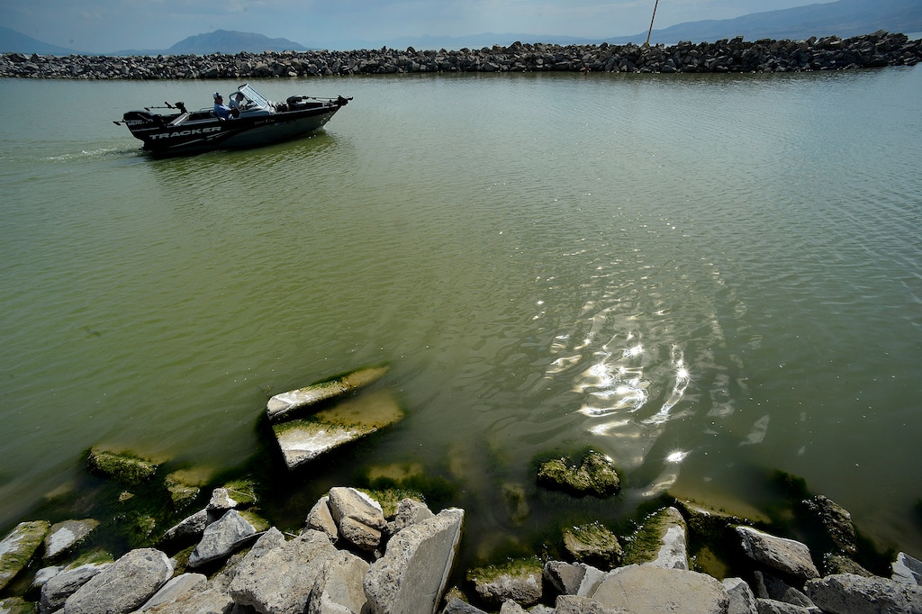 (Scott Sommerdorf | Tribune file photo) Utah Lake State Park closed this week for a marina dredging project.