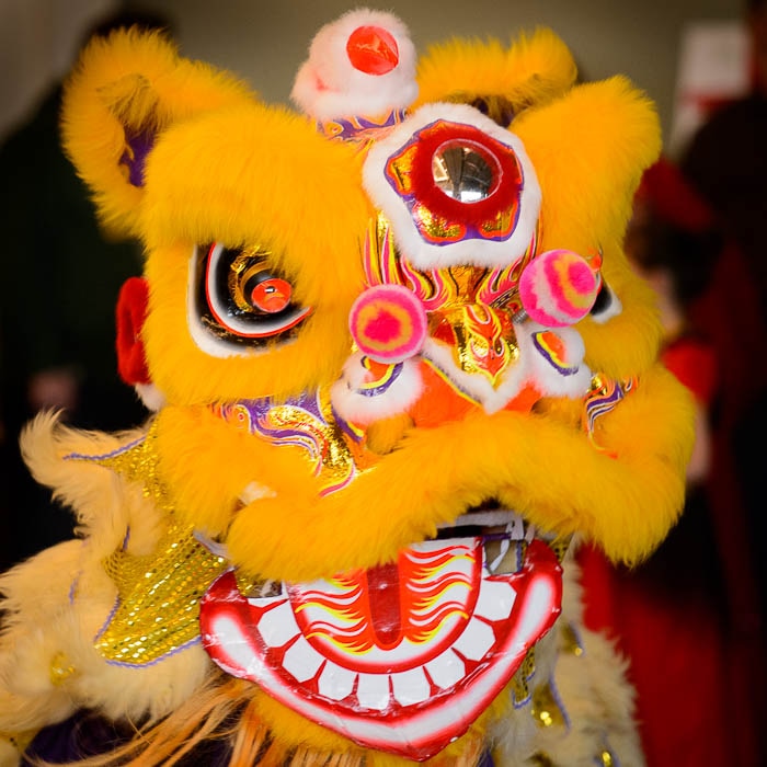 (Trent Nelson | The Salt Lake Tribune)  Students from Calvin Smith Elementary perform a Lion Dance at the Chinese New Year Celebration at the County Library's Viridian Event Center in West Jordan, Saturday Feb. 17, 2018.
