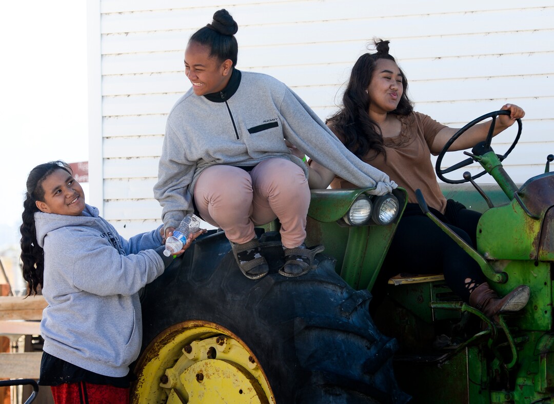 Leah Hogsten  |  The Salt Lake Tribune  l-r Zehlijah Togafau-fiti, Moala Mamatuki and Nohea Leomiti-moe play on the ranch's farming equipment during a church outing to the 2018 Fall Festival at Cross E Ranch in Salt Lake City, Thursday Oct. 18, 2018. 