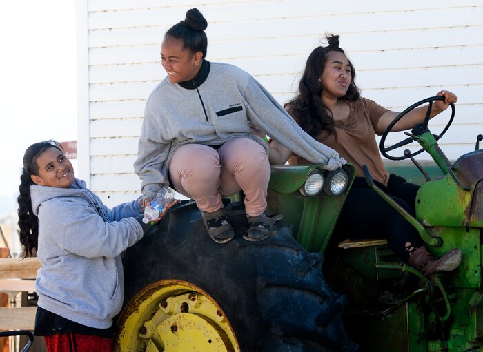 Leah Hogsten | The Salt Lake Tribune l-r Zehlijah Togafau-fiti, Moala Mamatuki and Nohea Leomiti-moe play on the ranch's farming equipment during a church outing to the 2018 Fall Festival at Cross E Ranch in Salt Lake City, Thursday Oct. 18, 2018.