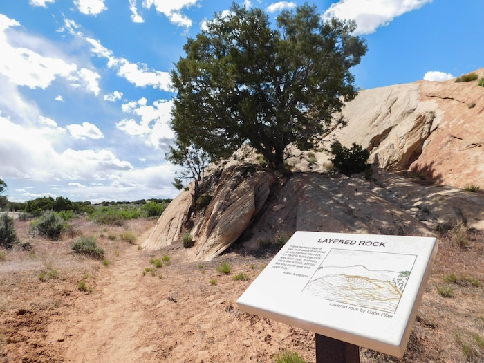 Erin Alberty  |  The Salt Lake TribuneDesert Voices is a family trail at Dinosaur National Monument. It is just over 2 miles long and shows off some of the monument's rocky scenery and desert plants and wildlife. May 27, 2017.