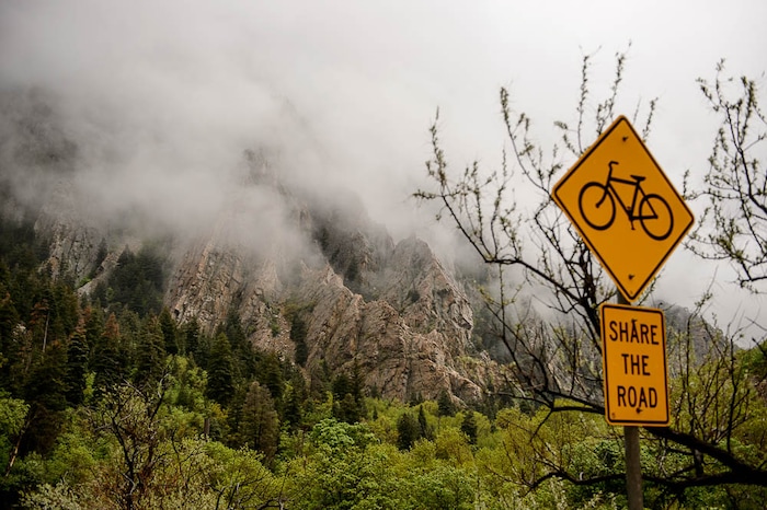 (Trent Nelson | The Salt Lake Tribune)
A misty afternoon near Storm Mountain in Big Cottonwood Canyon, Friday May 11, 2018.