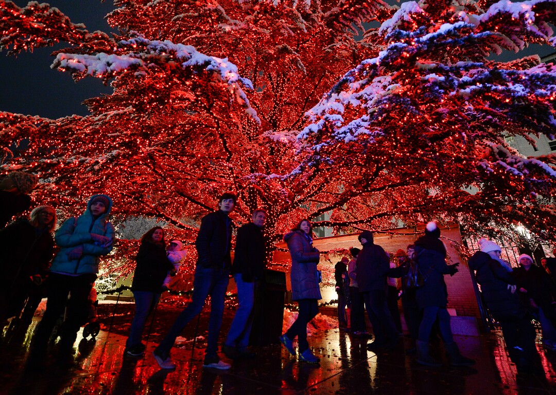 (Francisco Kjolseth  |  The Salt Lake Tribune)  Visitors take in the sights as Temple Square in Salt Lake City comes to life Friday, November 29, 2019, as hundreds of thousands of colorful LED bulbs light up, a yearly tradition that started in 1965. The lights will run through the end of the year.