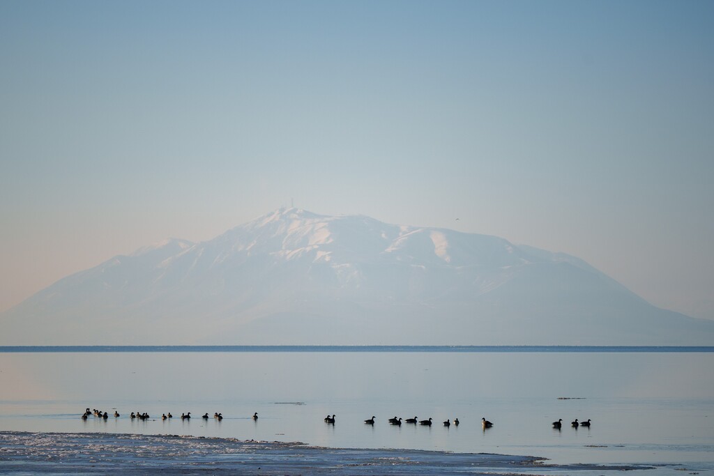 (Trent Nelson  |  The Salt Lake Tribune) Utah Lake at Vineyard Beach on Wednesday, Jan. 26, 2022.