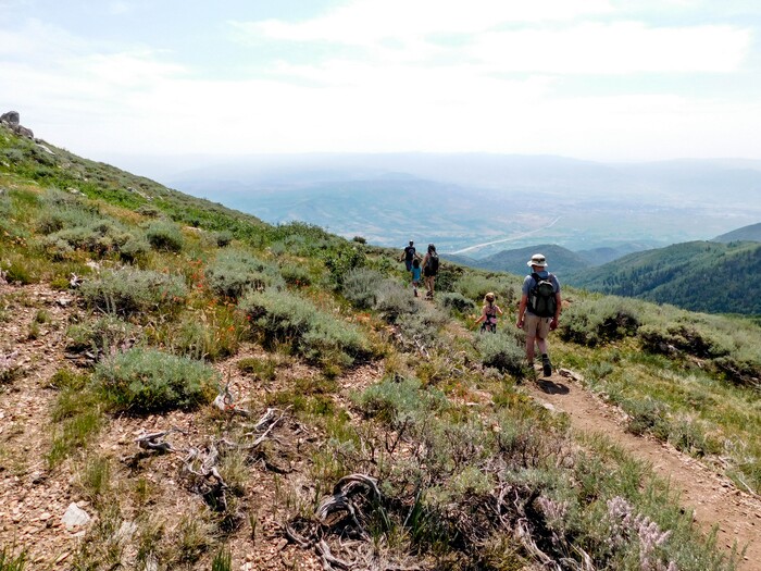 (Erin Alberty|The Salt Lake Tribune) The Ontario Trail winds down the mountains from the top of the Sterling Express lift to Bald Mountain at Deer Creek Resort. Photo taken Aug. 6, 2017.