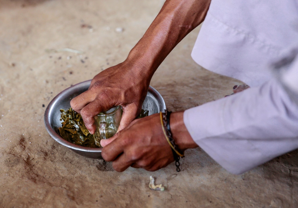 (Hani Mohammed | The Associated Press) In this Oct. 1, 2018, photo, a man prepares Halas for his children, a climbing vine of green leaves, in Aslam, Hajjah, Yemen. The leaves are made into green paste and used to be a traditional side dish, but at times of extreme poverty, it becomes the main meal. The UN agencies are warning that at least 3.5 million others might slip into the pre-famine stage.