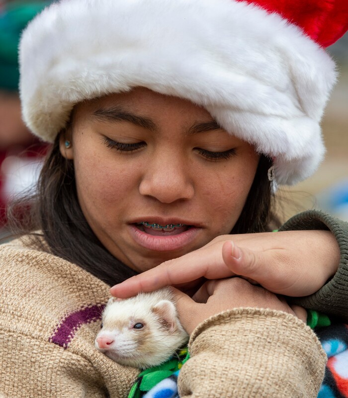 (Rick Egan  |  The Salt Lake Tribune)    Volunteer, Aimar Perez, 15, pets a ferret named Kdoh, at the Street Dawg Crew Christmas outreach at Liberty Park Sunday.  The Street Dawg Crew supports the homeless and their pets every Sunday at Pioneer Park.  For today's Christmas Outreach, the Street Dawg Crew passed out food and gift bags for humans and animals, and also offered a photo opportunity with Santa. Sunday, Dec. 22, 2019.