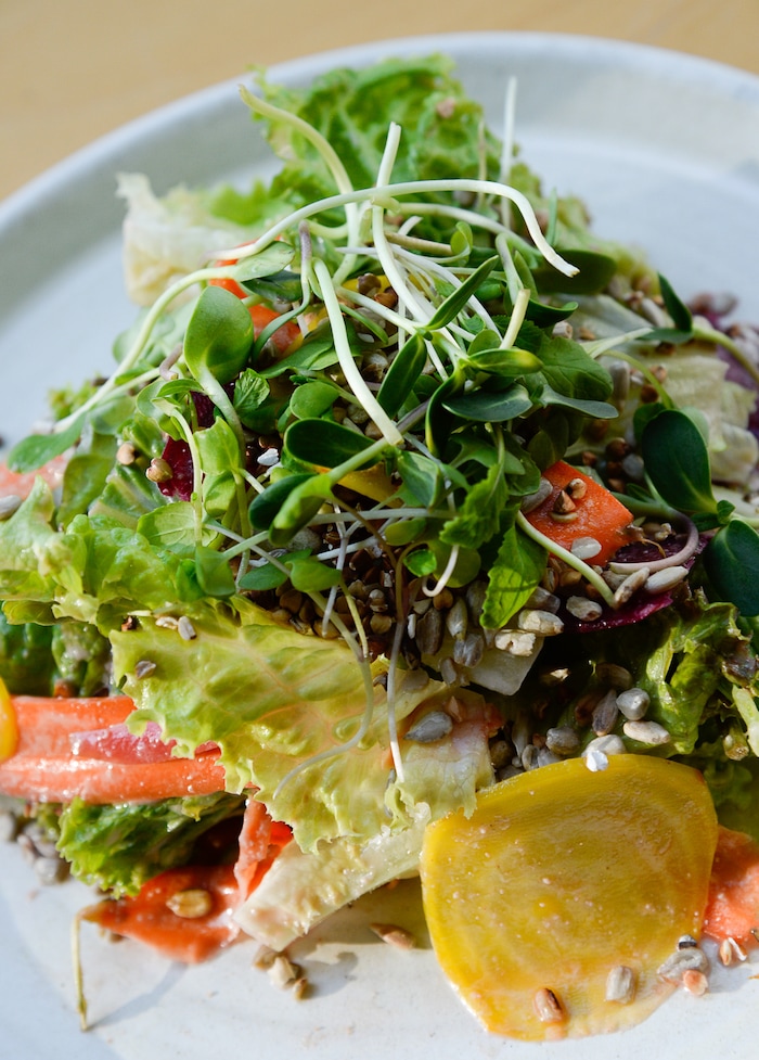 (Francisco Kjolseth  |  The Salt Lake Tribune)  The Oquirrh salad with garden sprouts, buckwheat ant toasted sunflower seed vinaigrette at Oquirrh, a new fine-dining restaurant in downtown Salt Lake City at 368 E. 100 South.