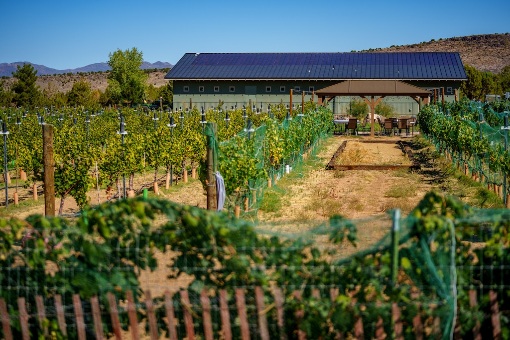 (Trent Nelson | The Salt Lake Tribune) Bold & Delaney Winery in Dammeron Valley on Wednesday, Sept. 17, 2025.