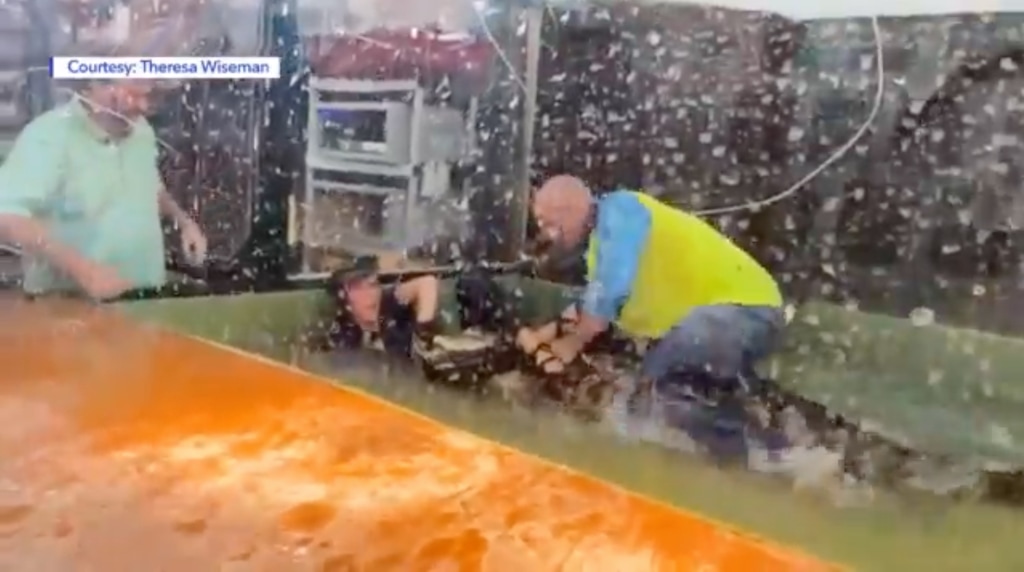 (Theresa Wiseman via FOX 13) A screenshot from video taken Saturday, Aug. 14, 2021, at Scales and Tails petting zoo in West Valley City. The alligator bit an employee, who was rescued after a guest jumped into the enclosure to hold the animal down.