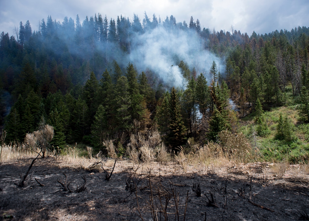 (Rick Egan  |  The Salt Lake Tribune)  The Dollar Ridge fire continues to burn along highway 40, Tuesday, July 10, 2018.