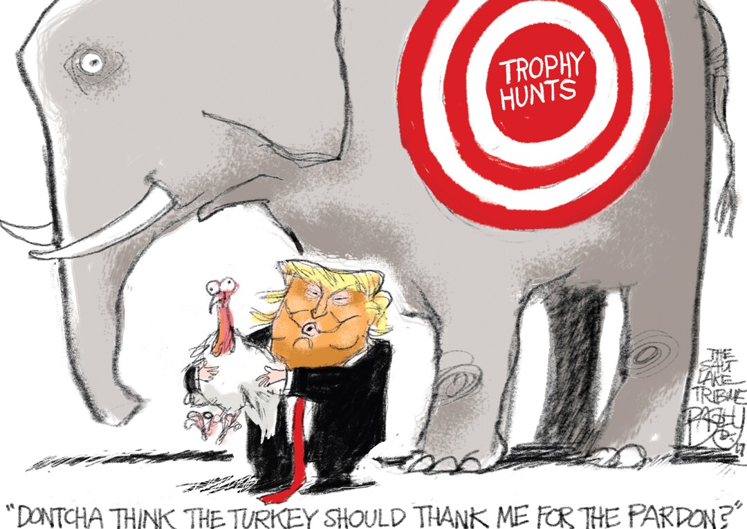 (Pat Bagley | The Salt Lake Tribune) This Pat Bagley cartoon, titled “The Elephant in the Trophy Room,” appears in The Salt Lake Tribune on Friday, Nov. 17, 2017.