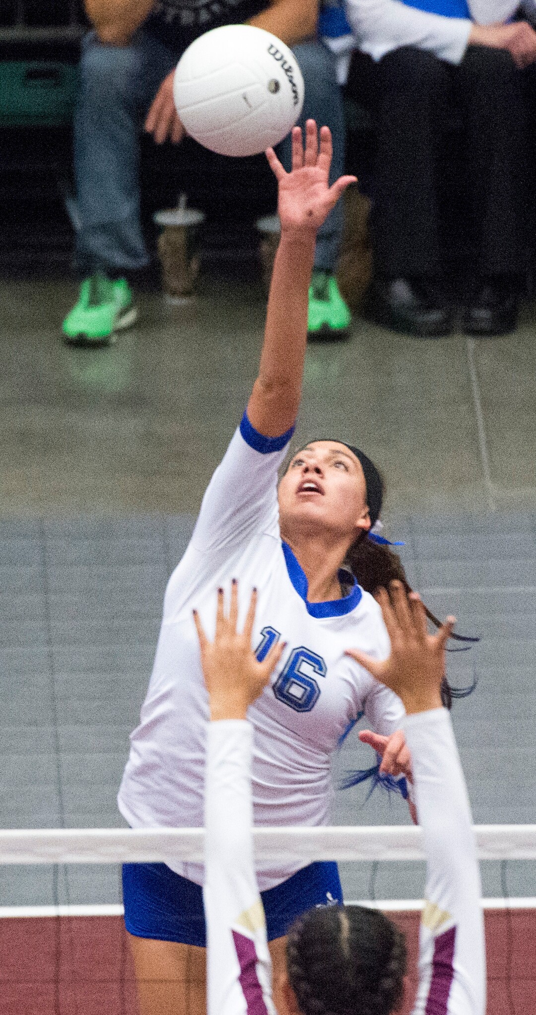Rick Egan  |  The Salt Lake TribuneKazna Tarawhiti (16) hits the ball for the Pleasant Grove Vikings, in 5A championship volleyball action, Pleasant Grove vs. Lone Peak, in Orem, November 5, 2016.