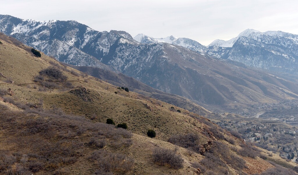 (Al Hartmann | The Salt Lake Tribune) Utah's snowpack is in pretty rough shape this year. Vegetation in the high foothills on Mount Olympus Trail east of Salt Lake City is dry already, in early February. In what is shaping up to be one of Utah's driest year on record, climate models suggest the state is getting a glimpse of weather patterns expected to be the norm decades from now.