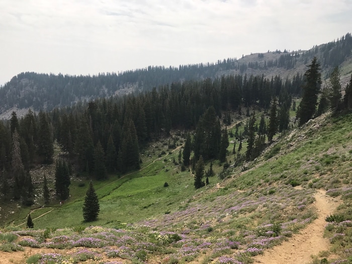 (Nate Carlisle | The Salt Lake Tribune) A trail leads to Luckawaxen Lake at Guardsman Pass on Aug. 7, 2017.