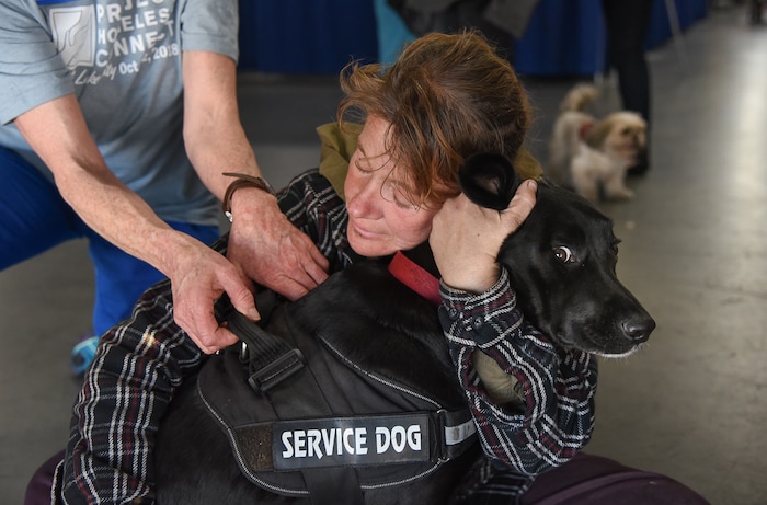 (Francisco Kjolseth  |  The Salt Lake Tribune)  Jennifer Watts holds her service dog Ruby Ray getting vaccinations and micro chipped during Salt Lake CityÕs second annual Project Homeless Connect takes place at the Salt Palace Convention Center on Friday, Oct. 12, 2018, that brings together community volunteers to provide services for individuals and families in need or experiencing homelessness. More than 800 community volunteers and 90 service providers connect those in need with more than 200 services.