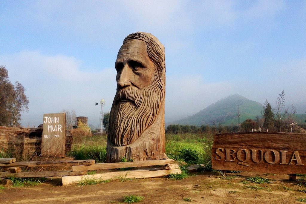 (Brian Melley | AP file photo)  A wood-carved statue of John Muir by R.L. Blair is seen on the road leading to Sequoia National Park near the city of Woodlake, Calif., Jan. 17, 2015.