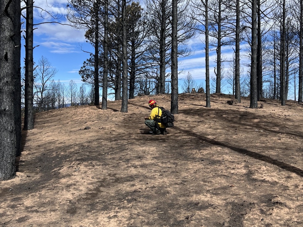 (U.S. Forest Service) A soil specialist examines ground conditions within the Babylon Fire burn scar while field-verifying soil burn severity in July.
