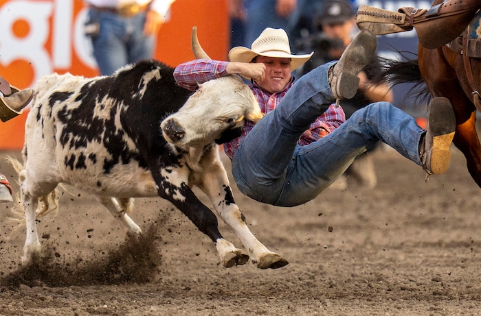 (Rick Egan | The Salt Lake Tribune)  Mason Couch, Cassville, Mo., competes in the steer wrestling competition at the Utah Days of '47 Rodeo at the State Fairpark, on Monday, July 25, 2022.