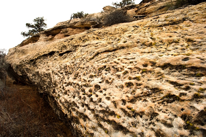 Rick Egan | The Salt Lake Tribune
The Butler Wash, where Mary Benally spent a year of her childhood east of Comb Ridge in Bears Ears National Monument. Thursday, January 12, 2017.