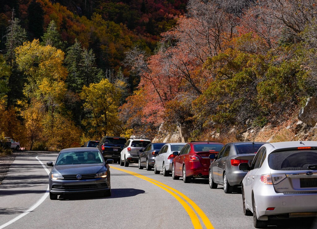 (Francisco Kjolseth | The Salt Lake Tribune) Traffic flows through the canyon during fall color in Little Cottonwood Canyon on Thursday, Oct. 20, 2022, as a temporary light restricts traffic to one lane for resurfacing work. 