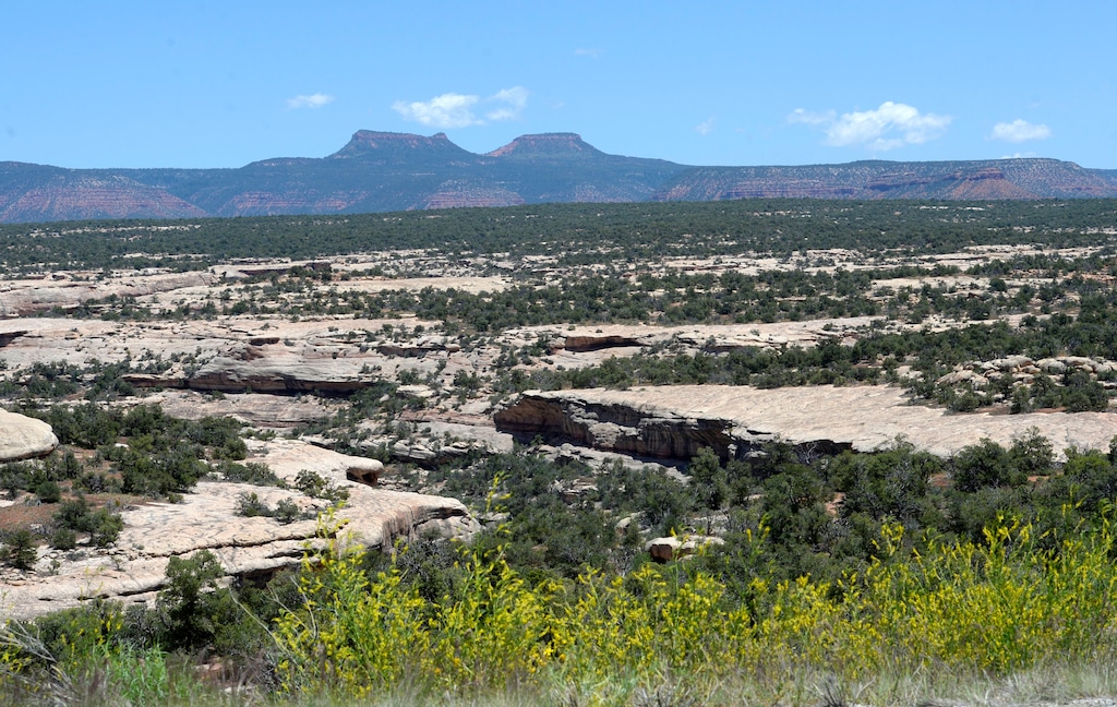 (Al Hartmann | The Salt Lake Tribune) Bears Ears formation rises above White Canyon along U.S. Highway 95 near Natural Bridges National Monument in San Juan County. An application for the construction of a telecom tower off of U.S. Highway 95 within the monument was withdrawn on Wednesday.