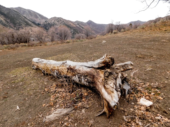 (Erin Alberty | The Salt Lake Tribune)  Porphyry Hill offers sweeping views of Ophir Canyon and the Tooele Valley. Photo taken Nov. 27, 2017.