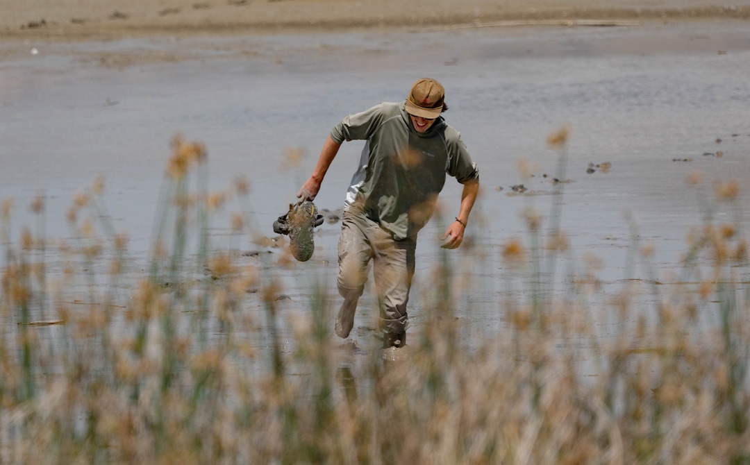(Francisco Kjolseth | The Salt Lake Tribune) Dustin Maloney, Utah State University Phd student and Hawk Watch International research associate walks through deep mud that sucks off sandals and muck boots after trying to encourage a small group of American white pelicans towards traps at the Bear River Migratory Bird Refuge, a 74,000-acre nature reserve in the northern Great Salt Lake on Wednesday, June 23, 2021.