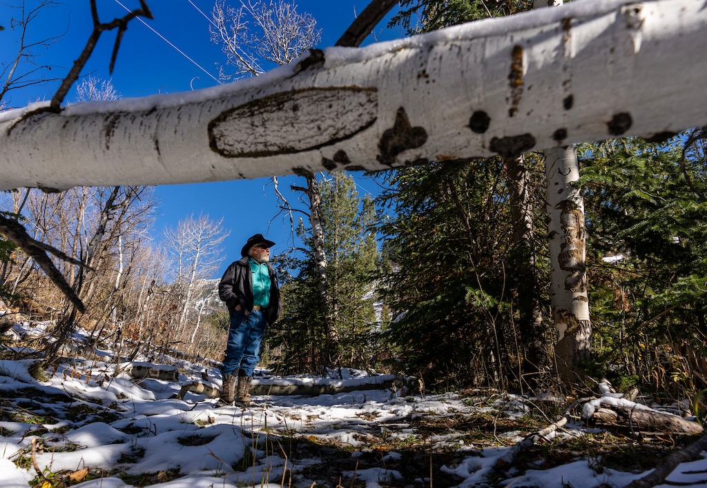 (Leah Hogsten | The Salt Lake Tribune) Jay Wilde on the Birch Creek watershed, Oct. 28, 2022. With the help of Utah State University's Beaver Ecology and Relocation Center, the rancher opened his property as a haven for beavers in 2015. Now, the area is home to over 200 beaver dams, which have increased the ranch's creek flows and helped a vulnerable fish species thrive.